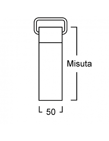 Cinghia porta veloce