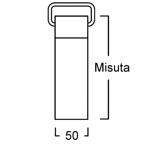 Cinghia porta veloce
