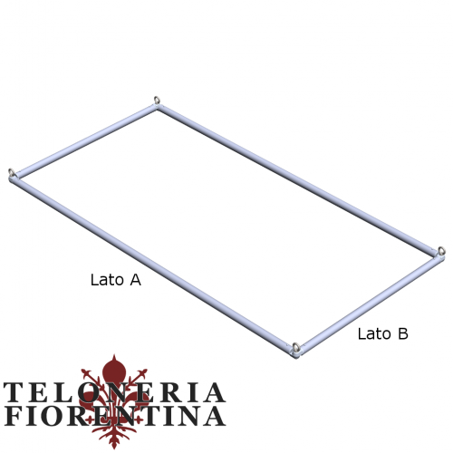 Carderella acrobatica