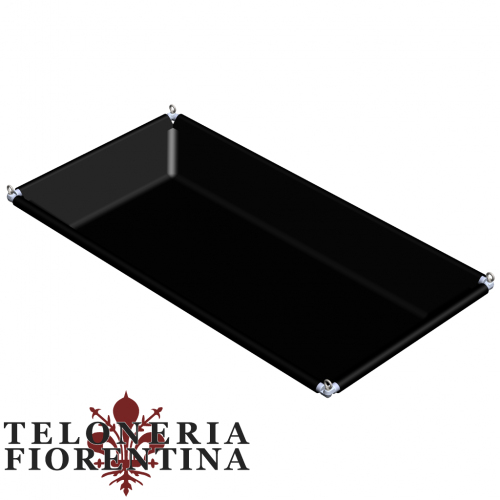Calderella acrobatica